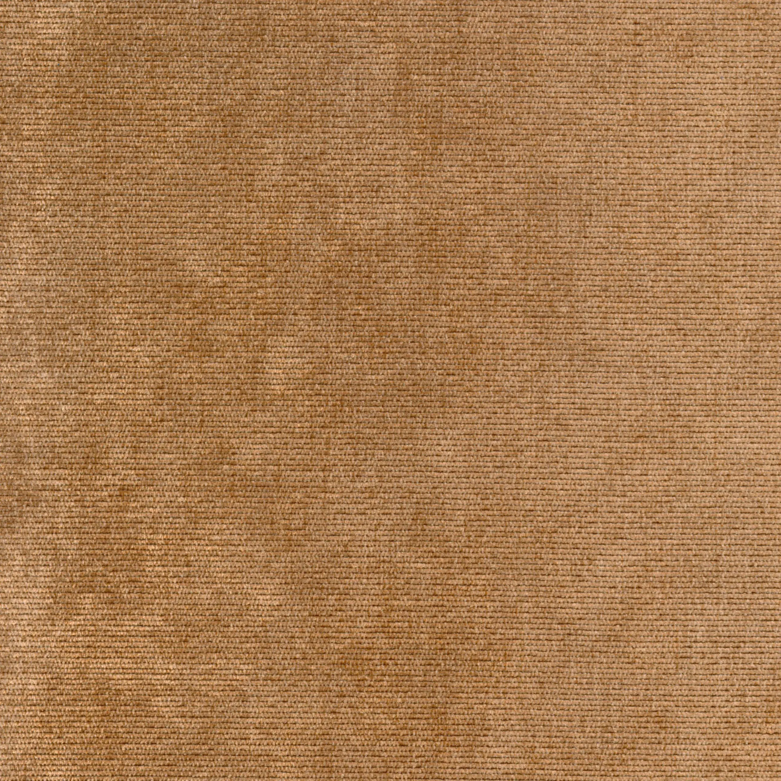 Palm 42 | Verner
