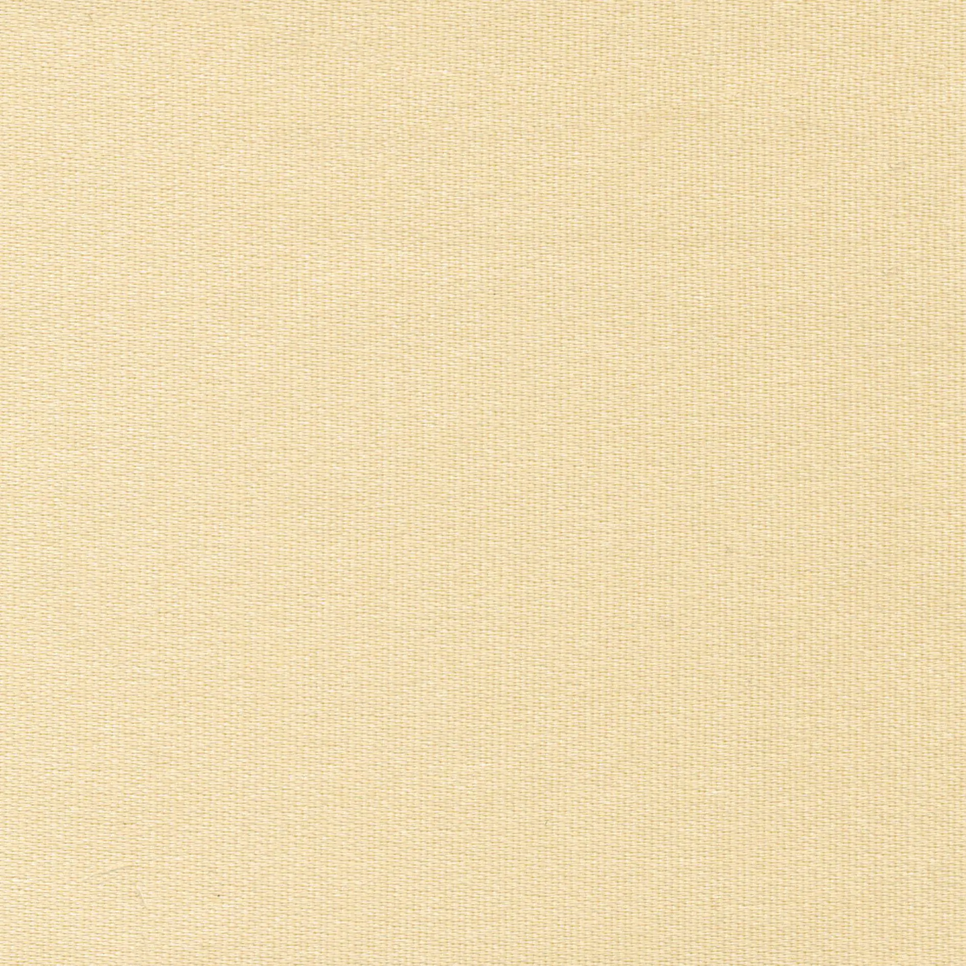 Beige 11 | Melba
