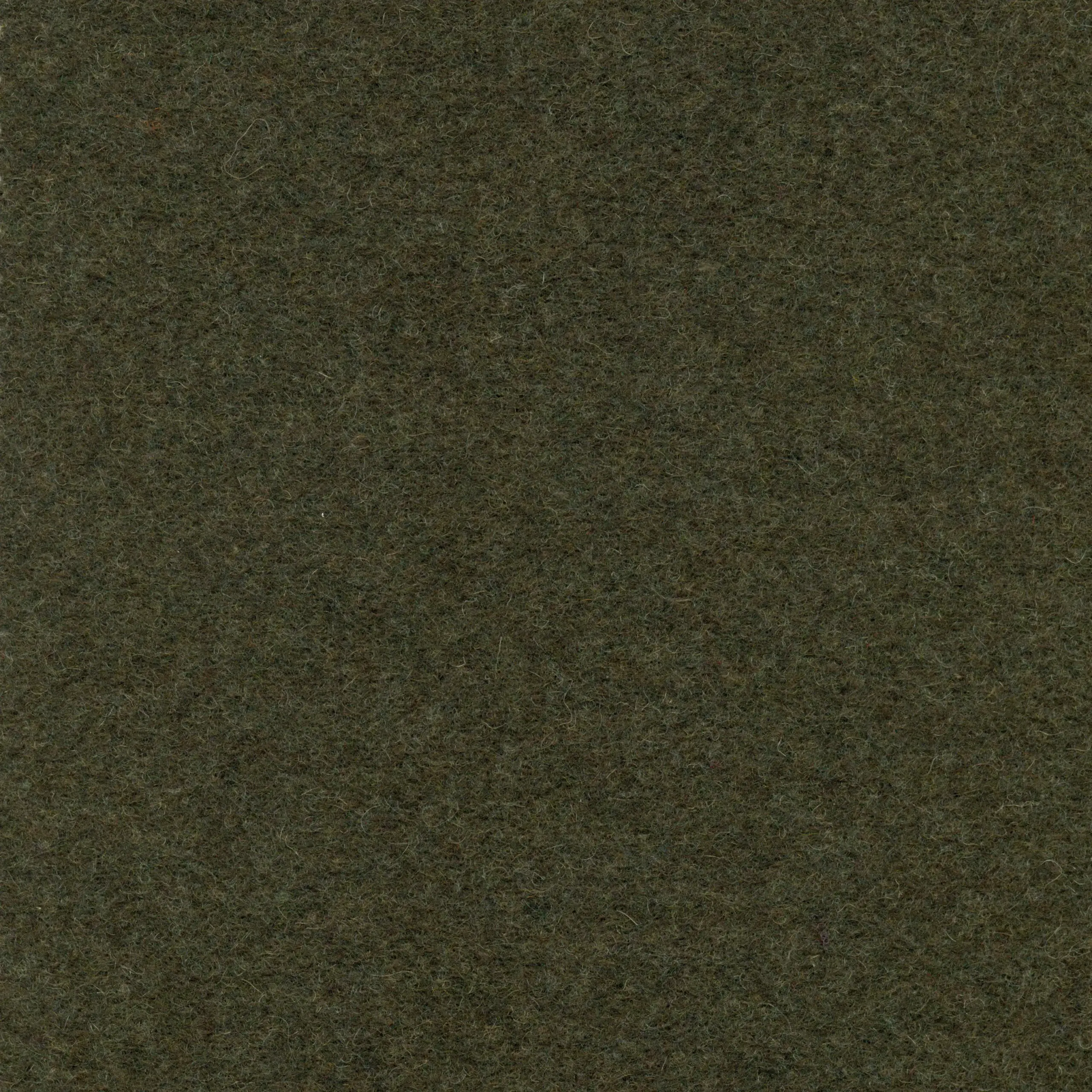 Lichen 801 | Norma