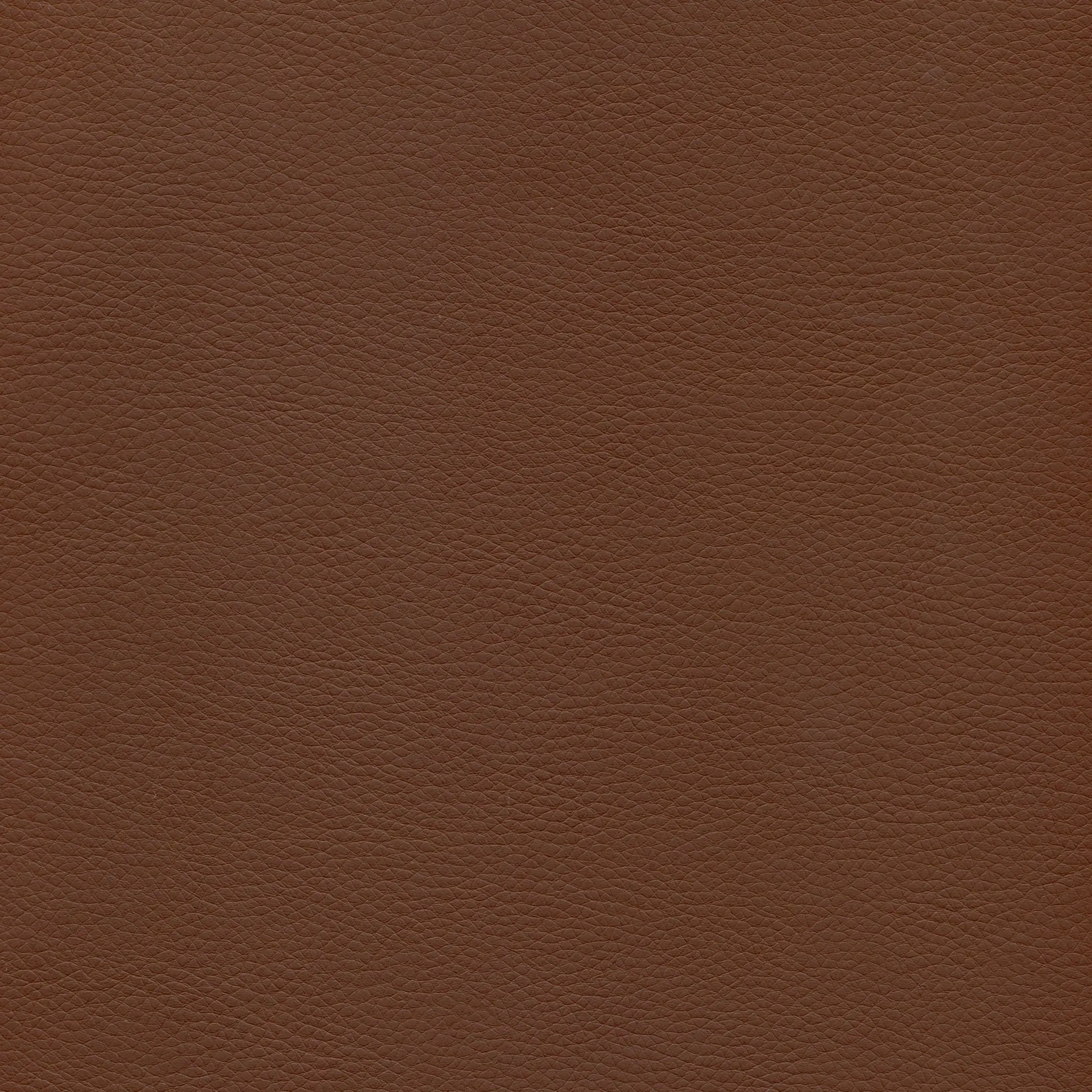 Coffee | Merita