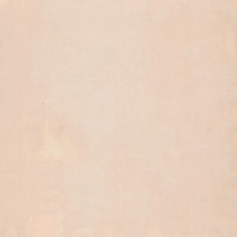 Organza