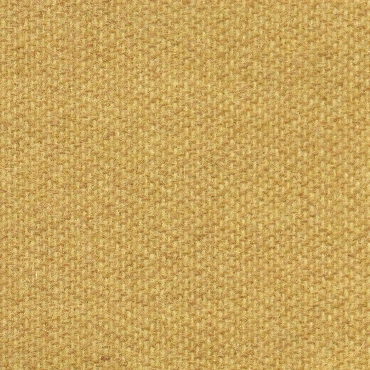 Acacia 454 | Savoy FR