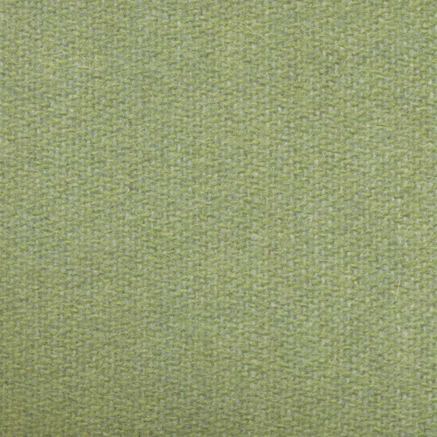 Leaf 482 | Savoy FR