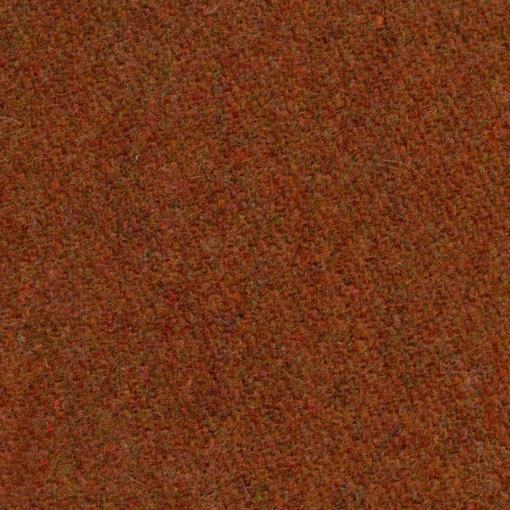 Autumn 58 | Wool