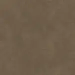 Lentil 15 | Tremiti