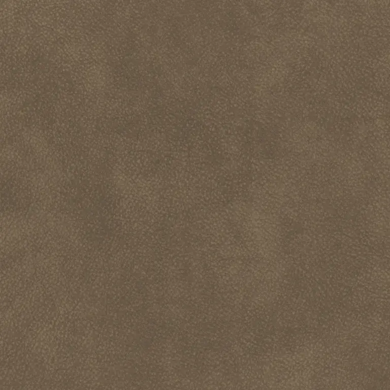 Lentil 15