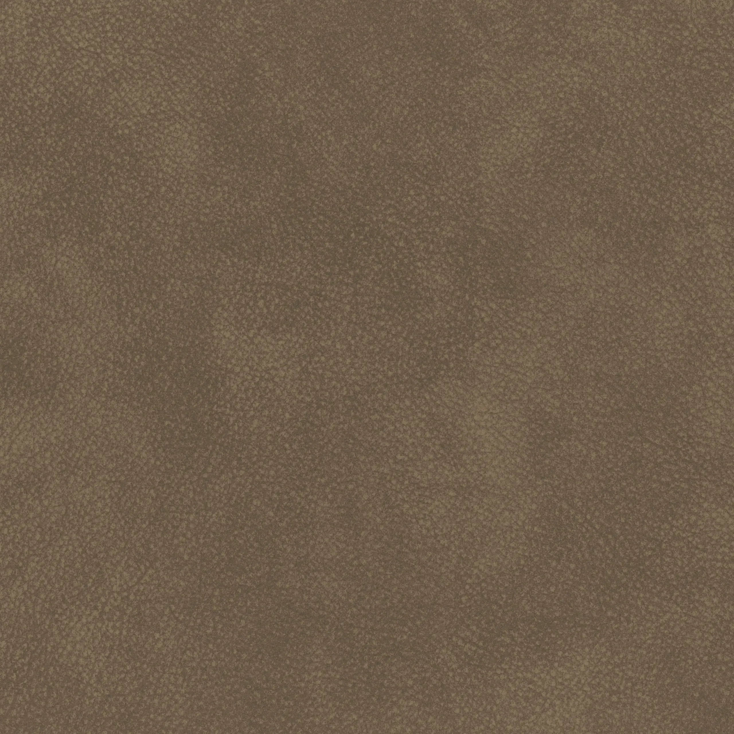 Lentil 15 | Tremiti