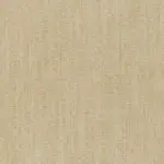 Angora 58 | Savona