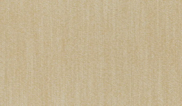 Angora 58