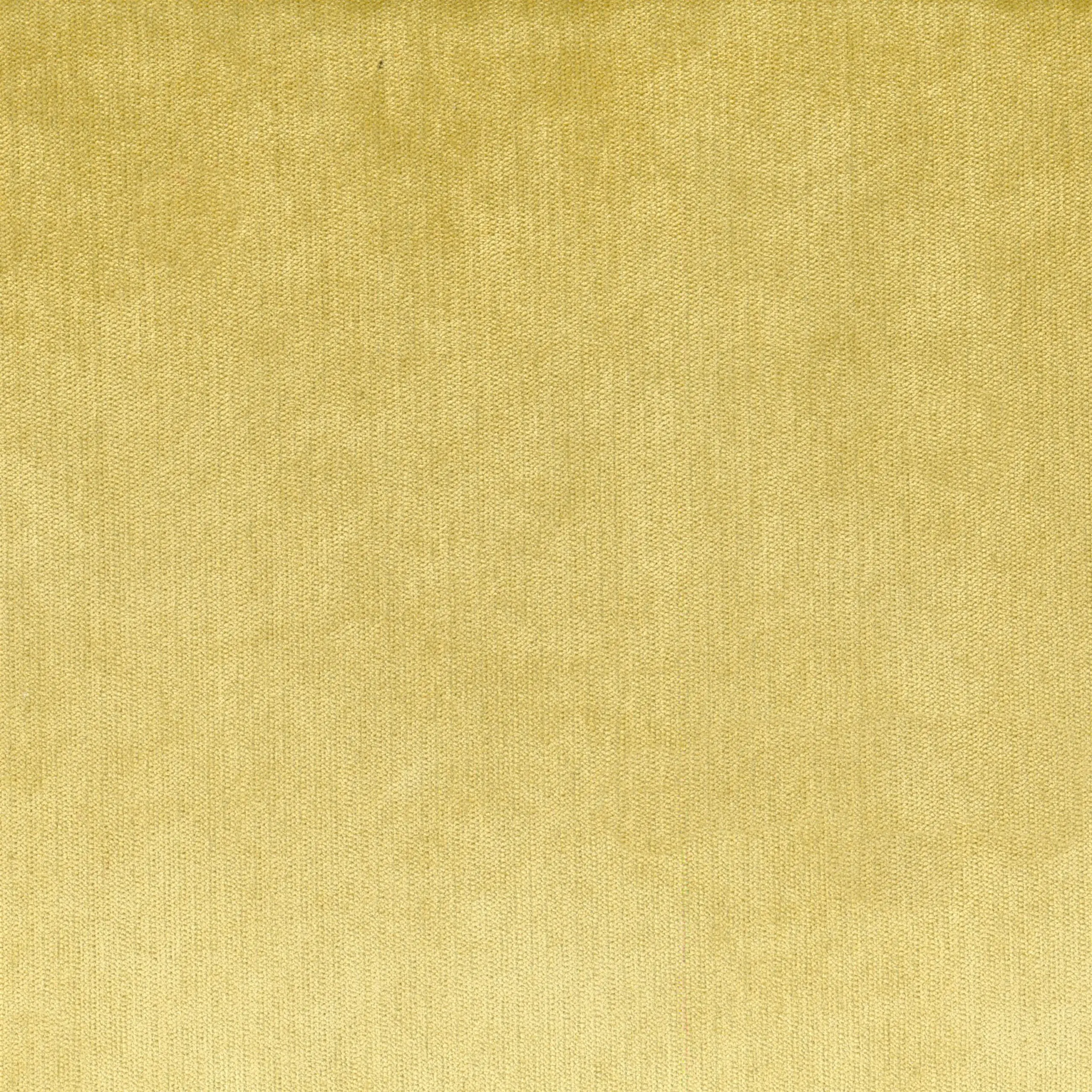 Gold 22 | Palmer
