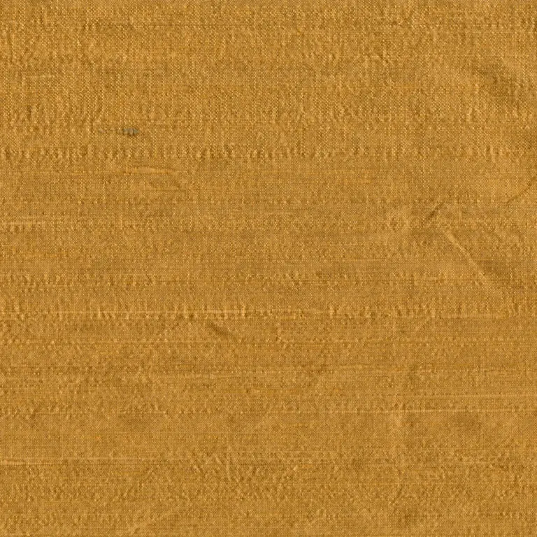 Camel 046