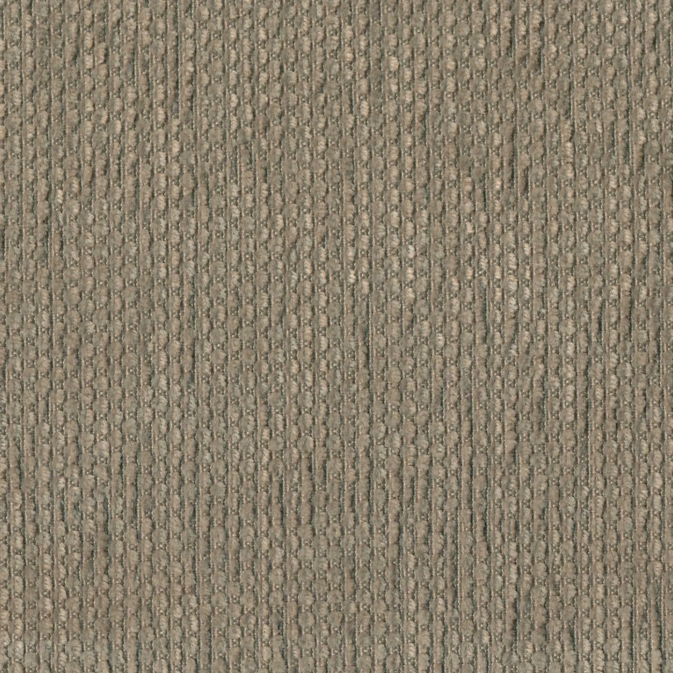 07 | Sofia FR