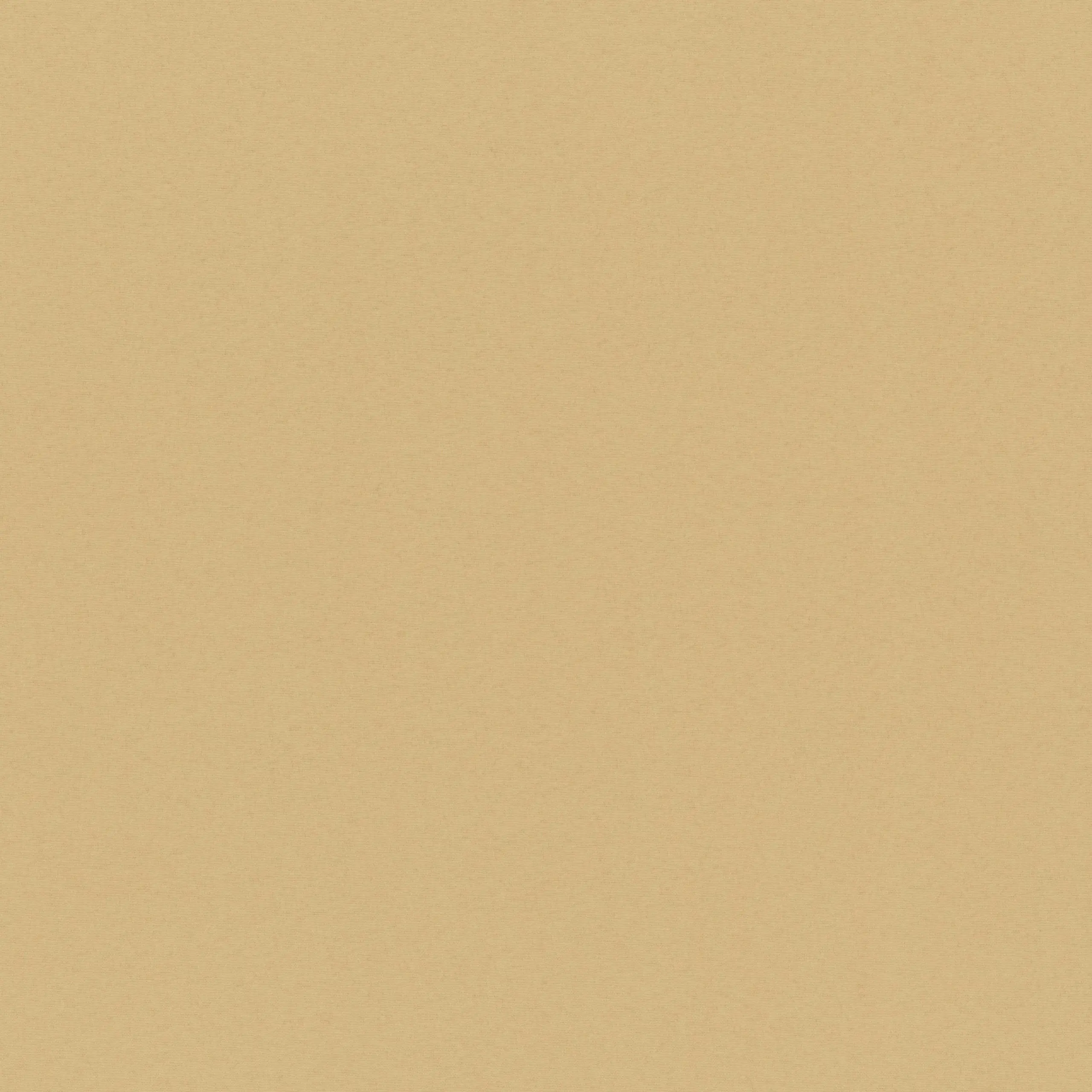 Croissant 82 | Sage