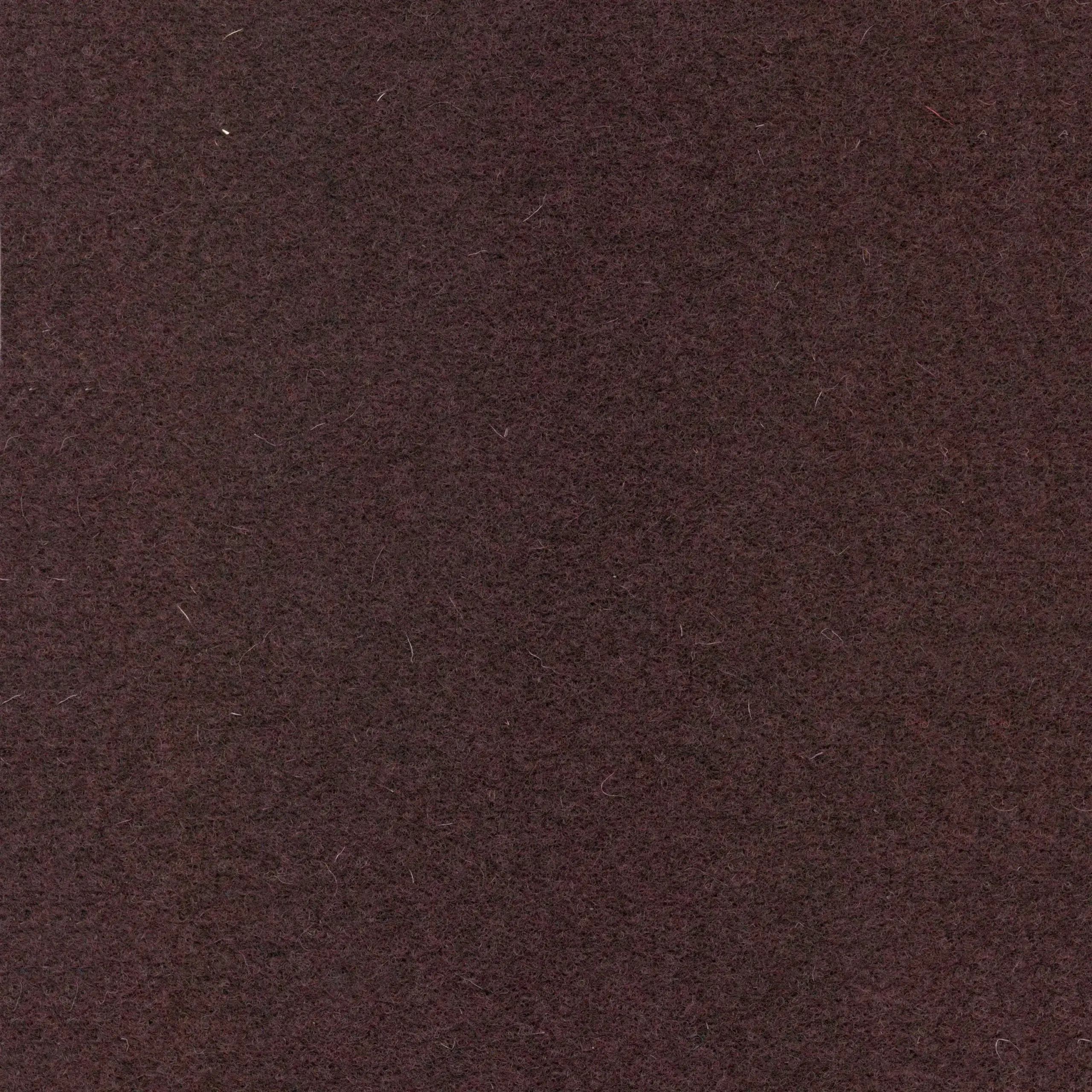 Aubergine 515 | Walt