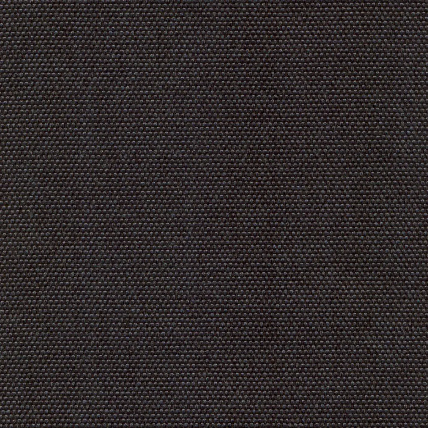 Negro 806 | Petrus