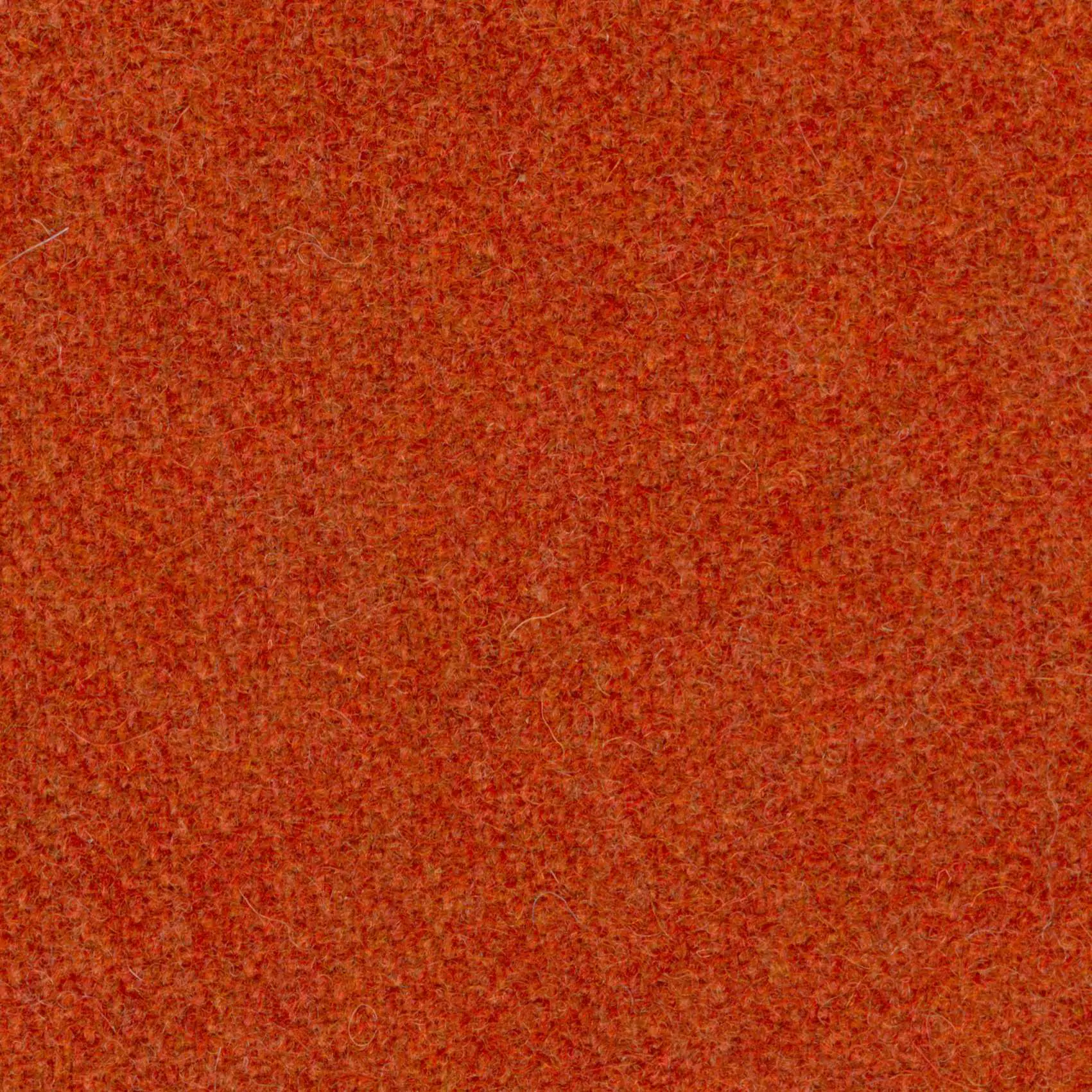 Sienna 62 | Wool