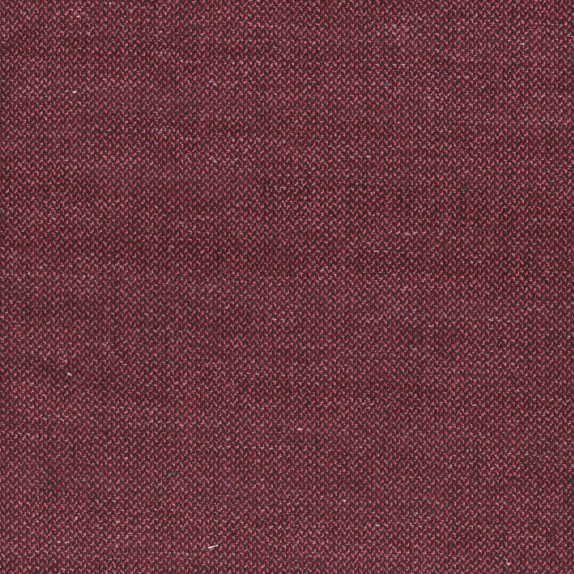58 | Vico