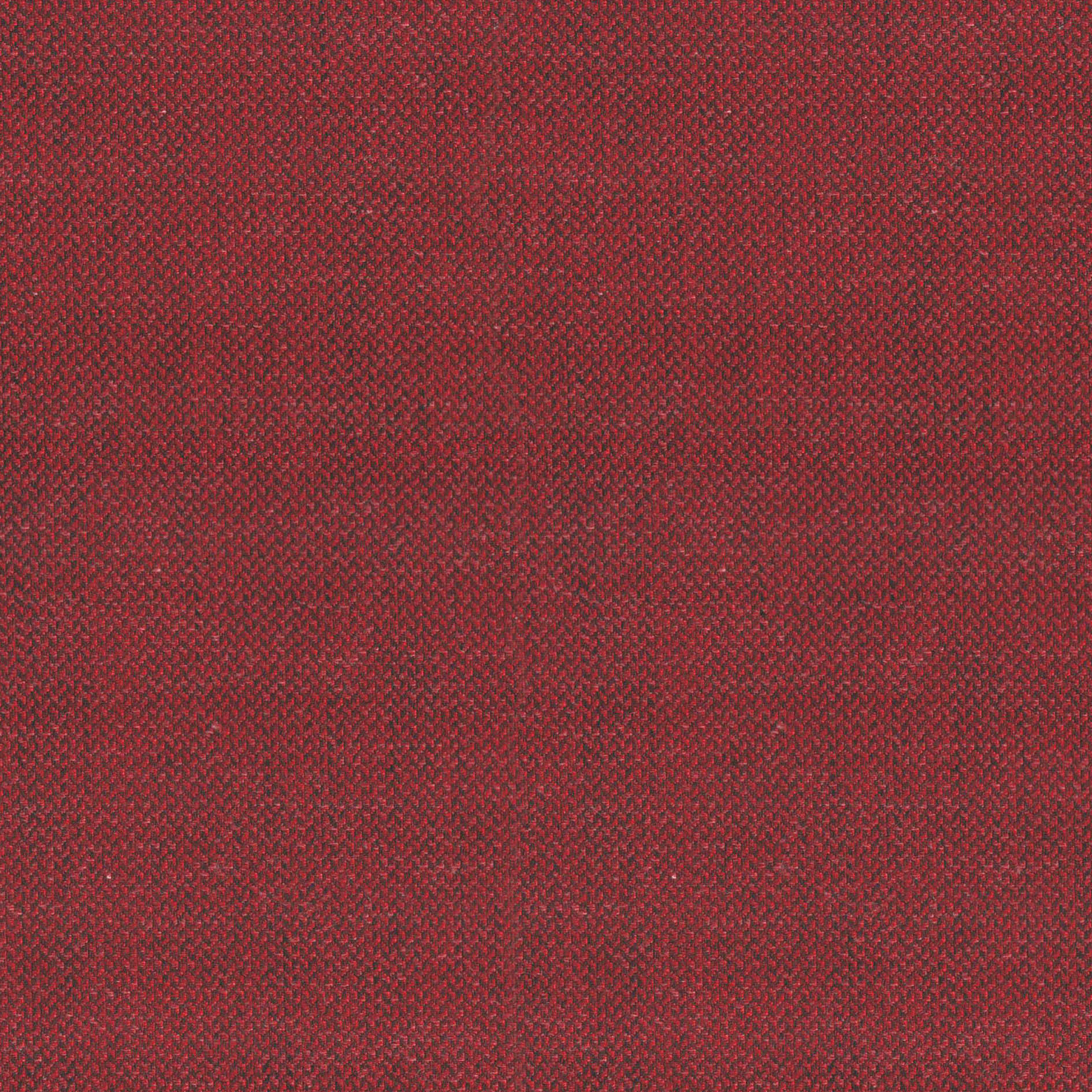 57 | Vico