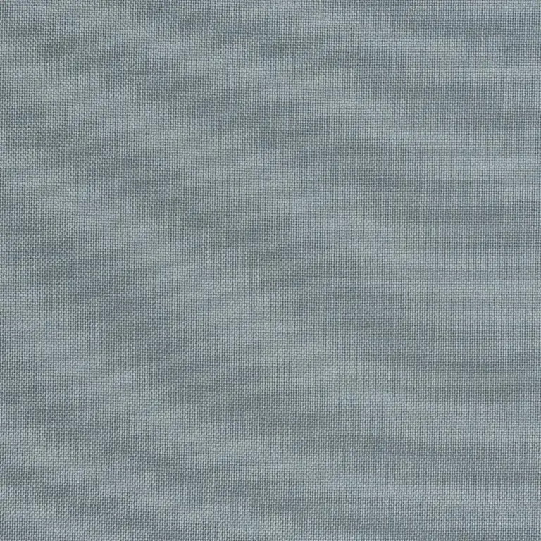 Blue Fog 29