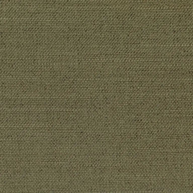 Khaki 501