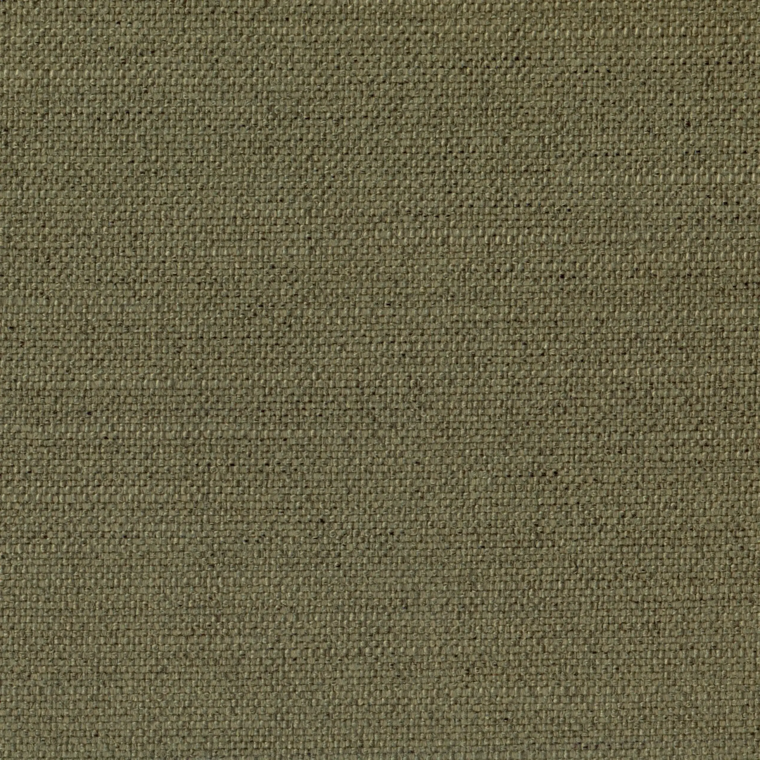 Khaki 501 | Tornado