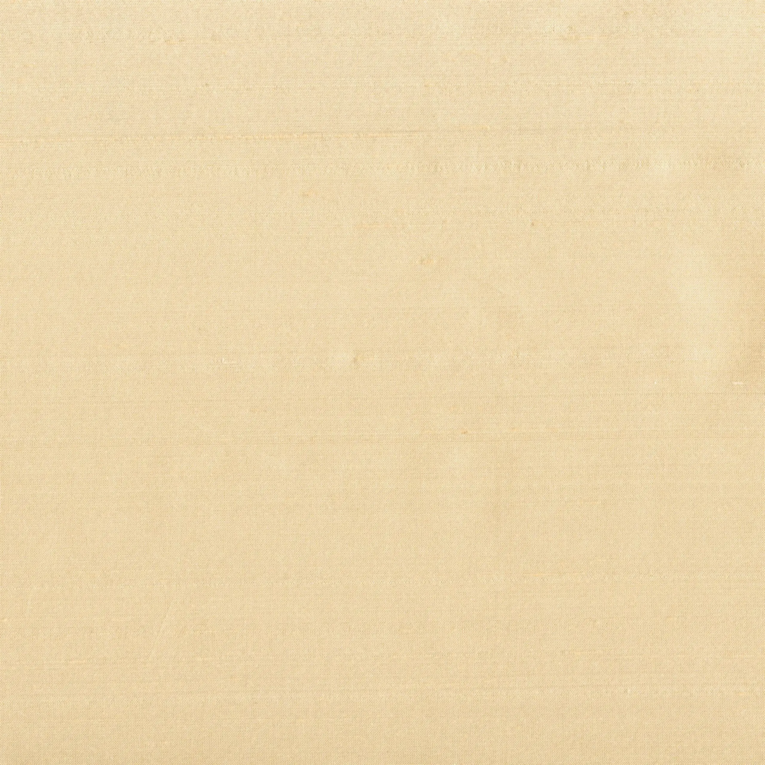 Almond 1507 | Yamir