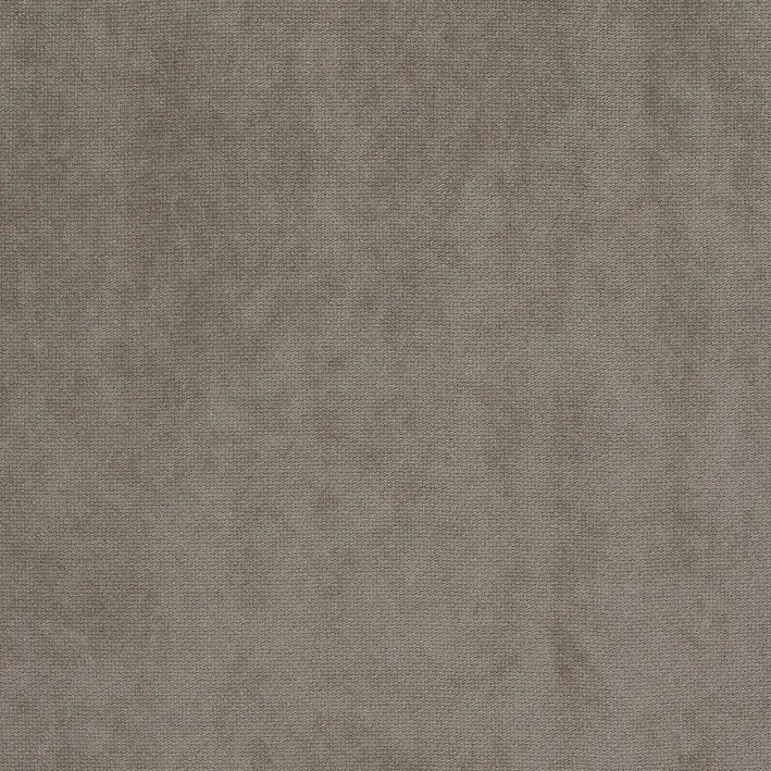 Walnut 01 | Rainer