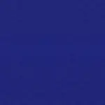 Cornflower 20 | Nazario FR