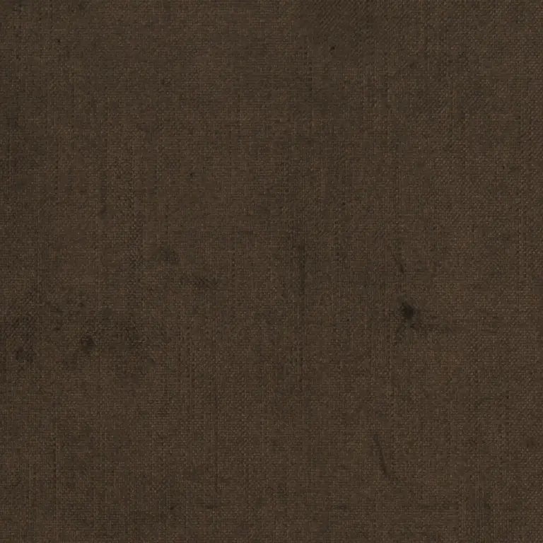 Chocolate 601