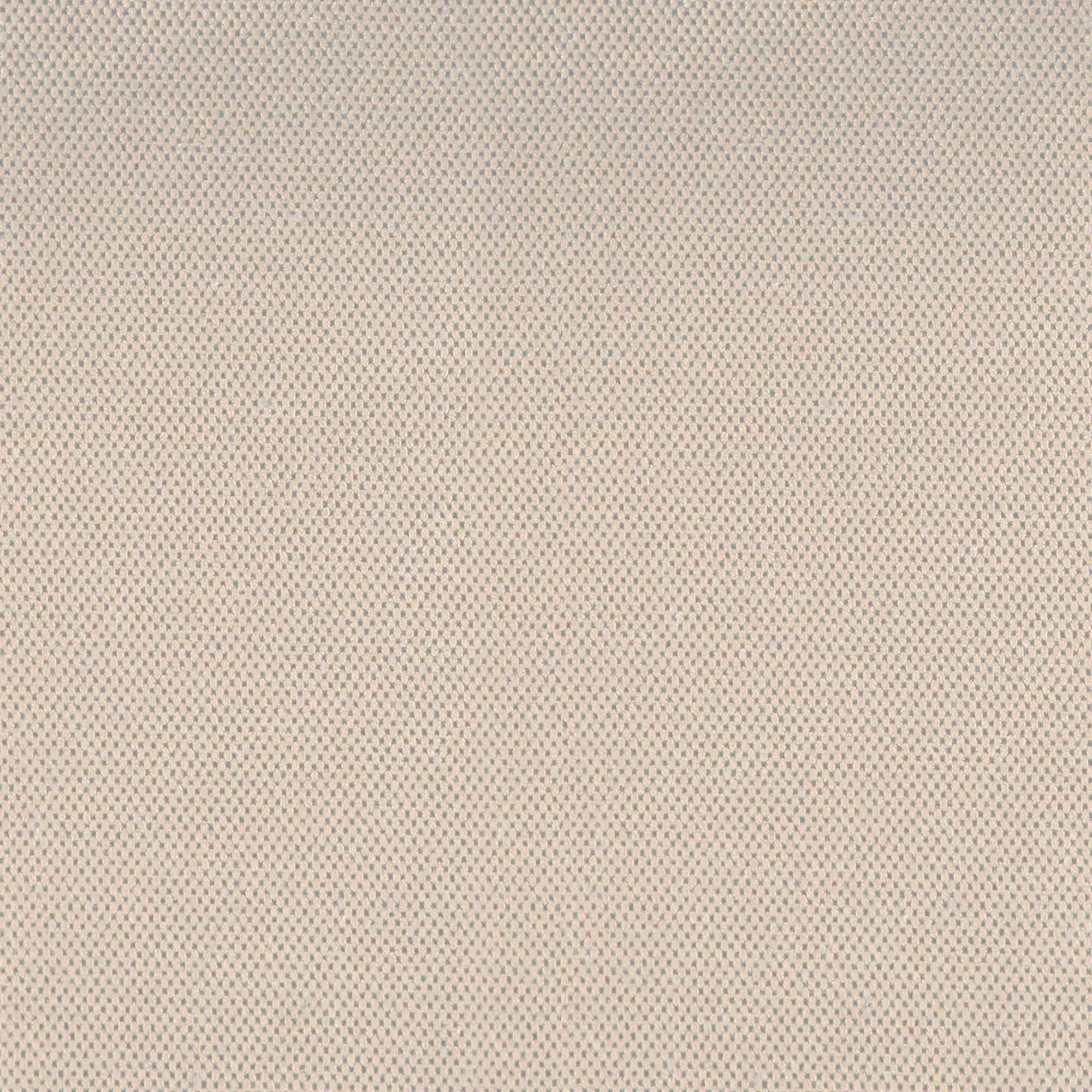 Beige 083 | Robust