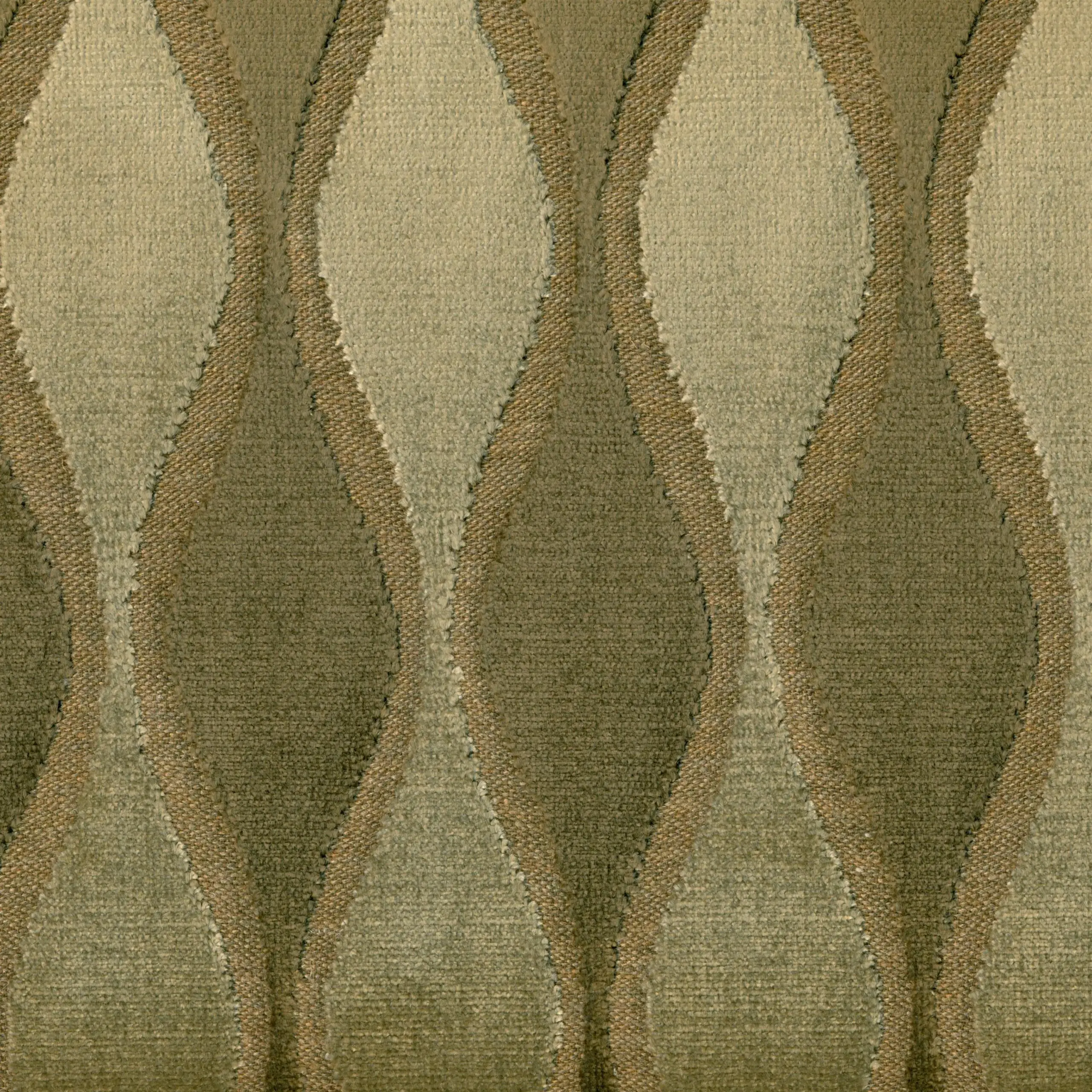 Olive 114 | Linda