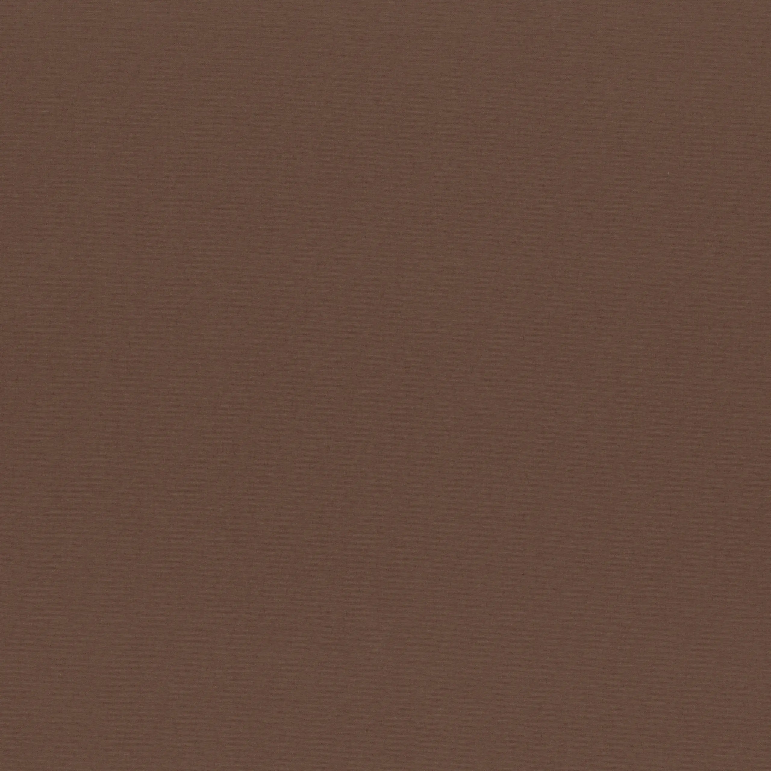 Chicory Coffe 80 | Sage