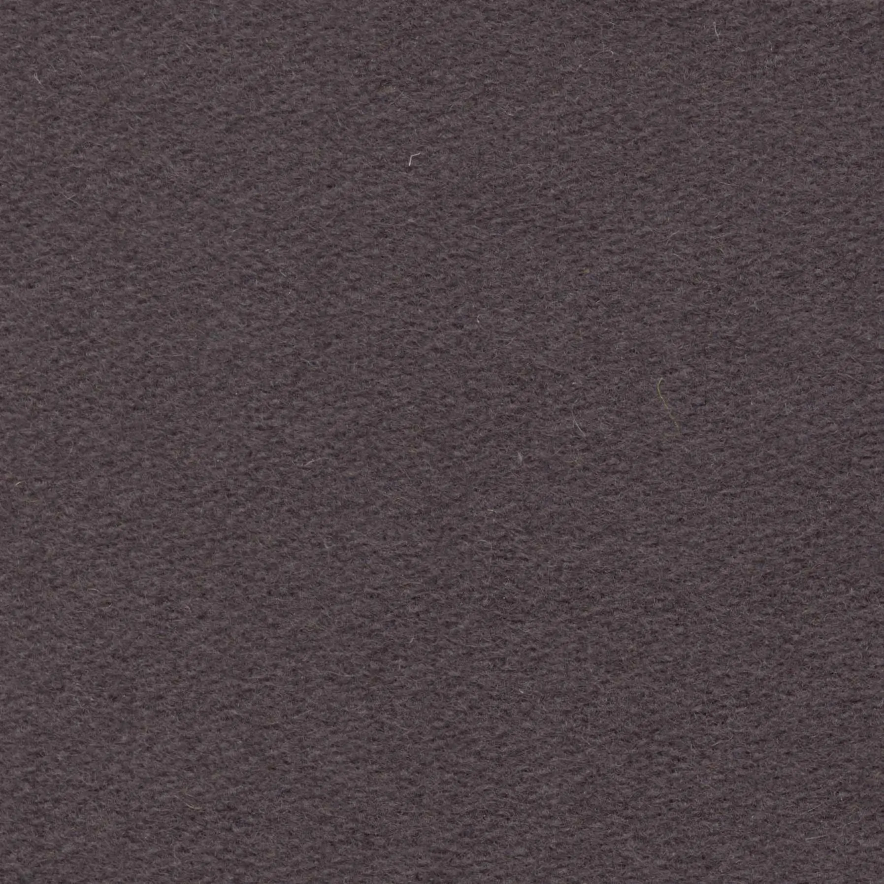 Dark Violet H497 | Savoy FR