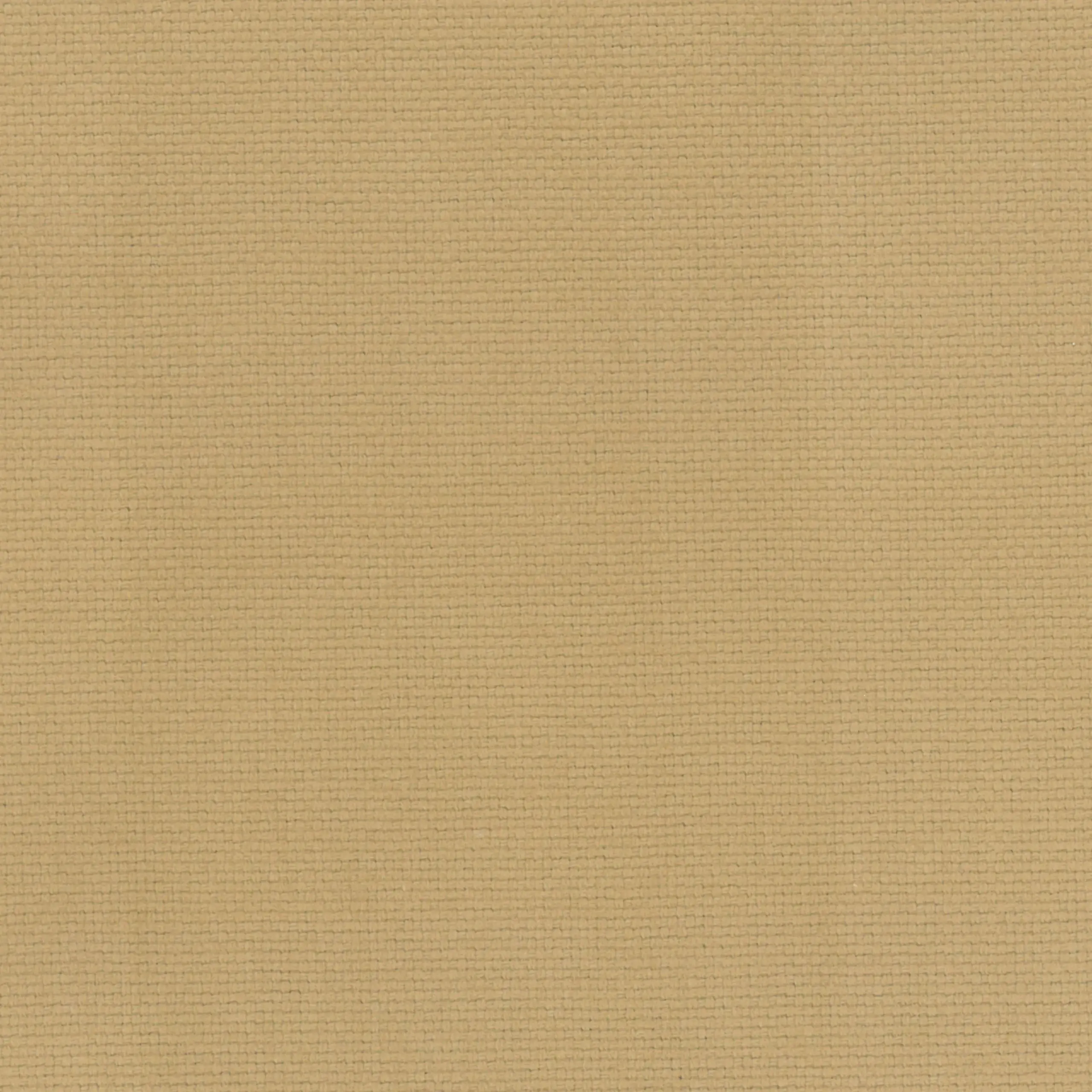 Jute 05 | Ringo
