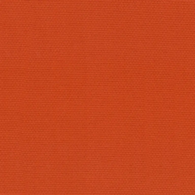 Tangerine 11
