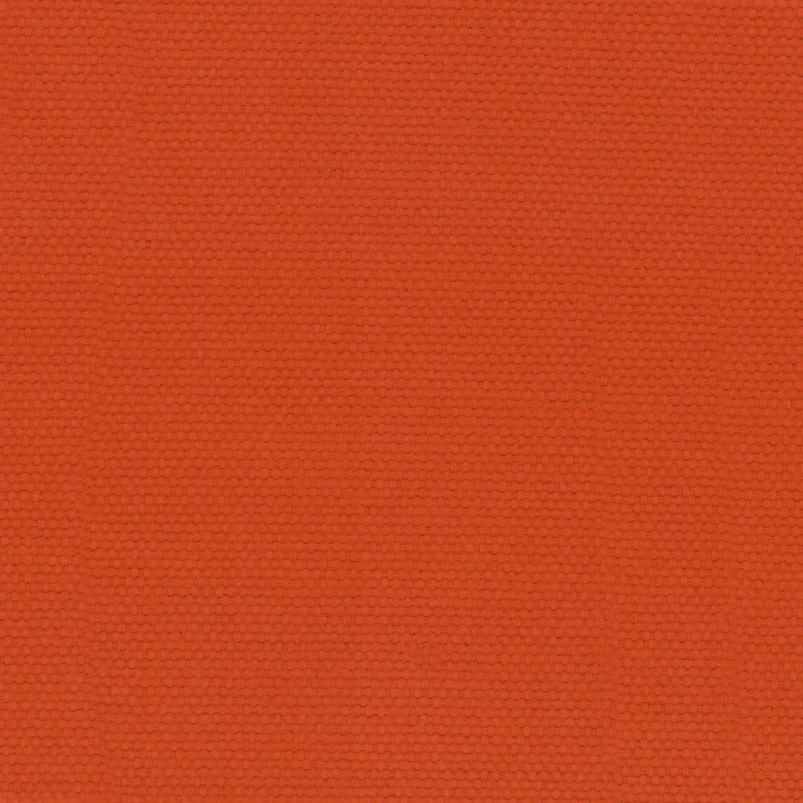 Tangerine 11 | Ringo