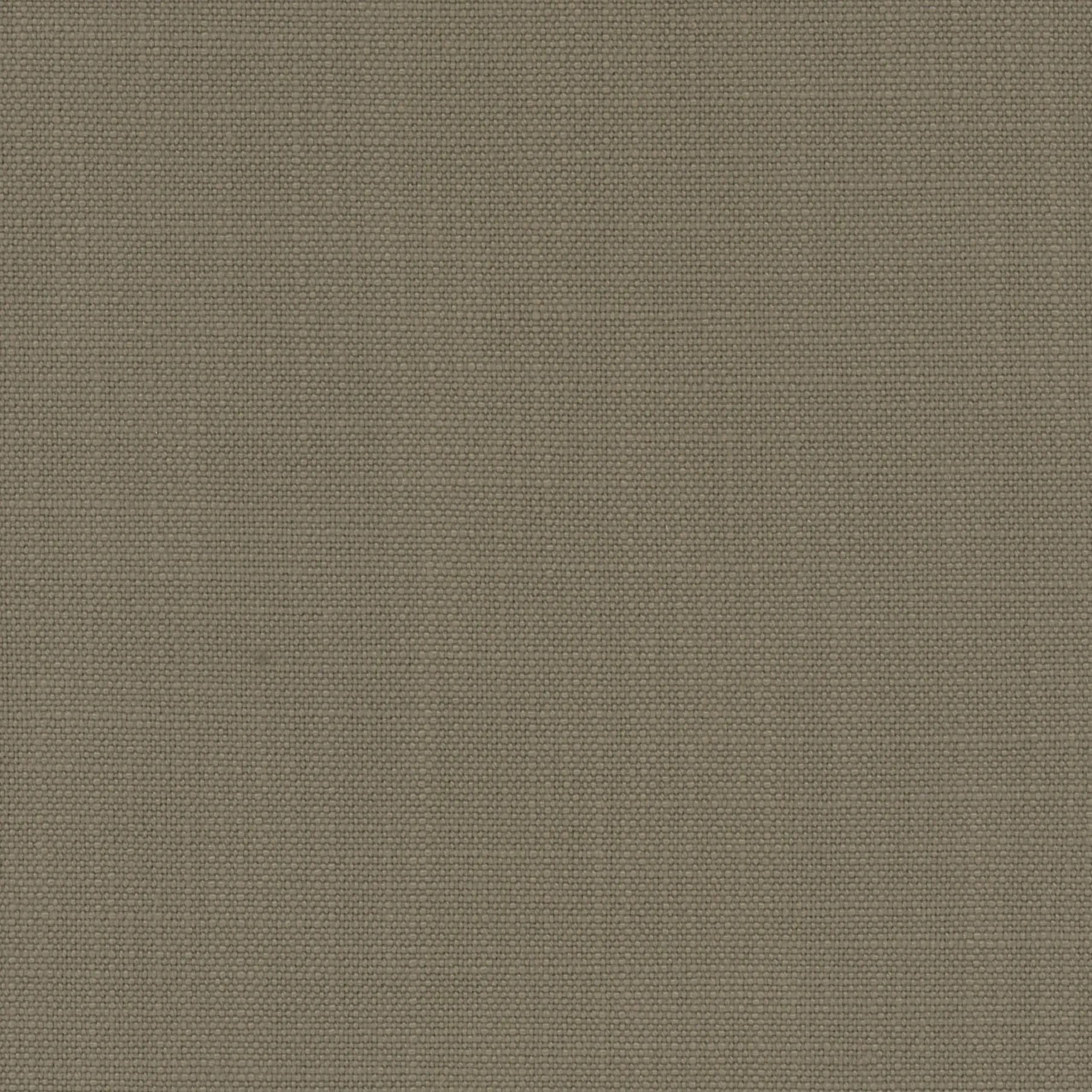 Taupe 13 | Morris