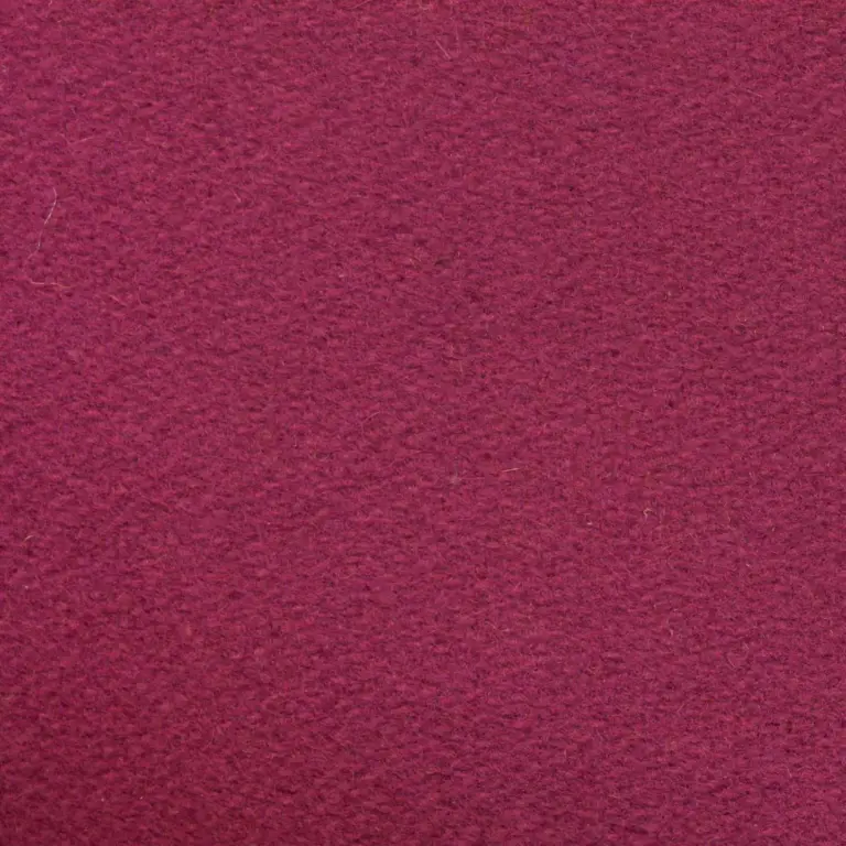 Crocus H487
