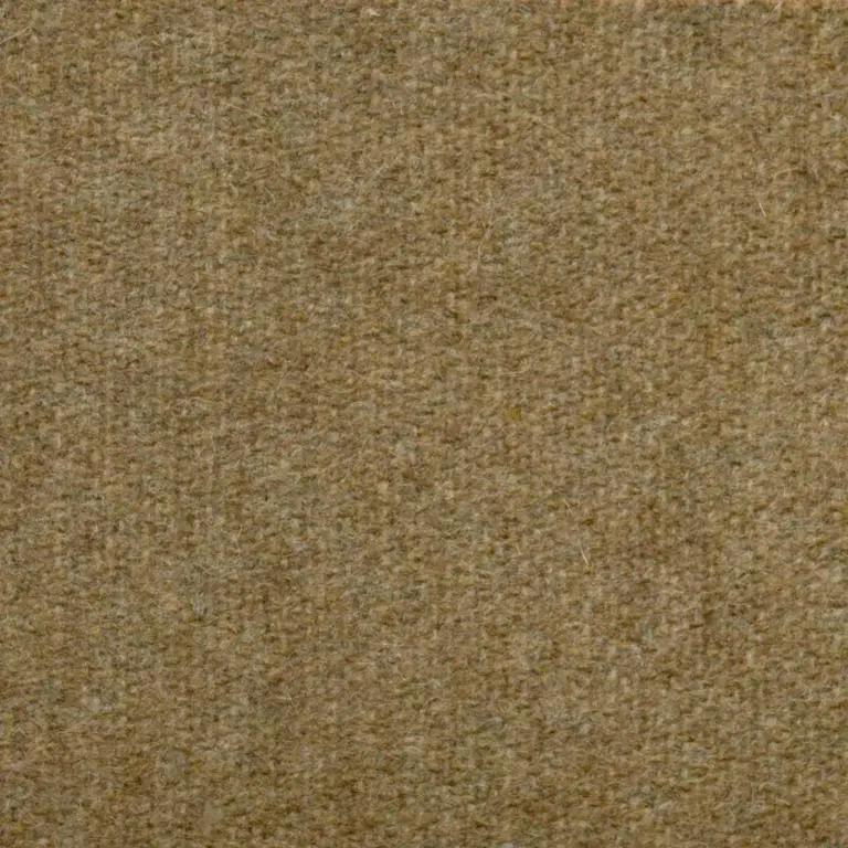 Camel 405