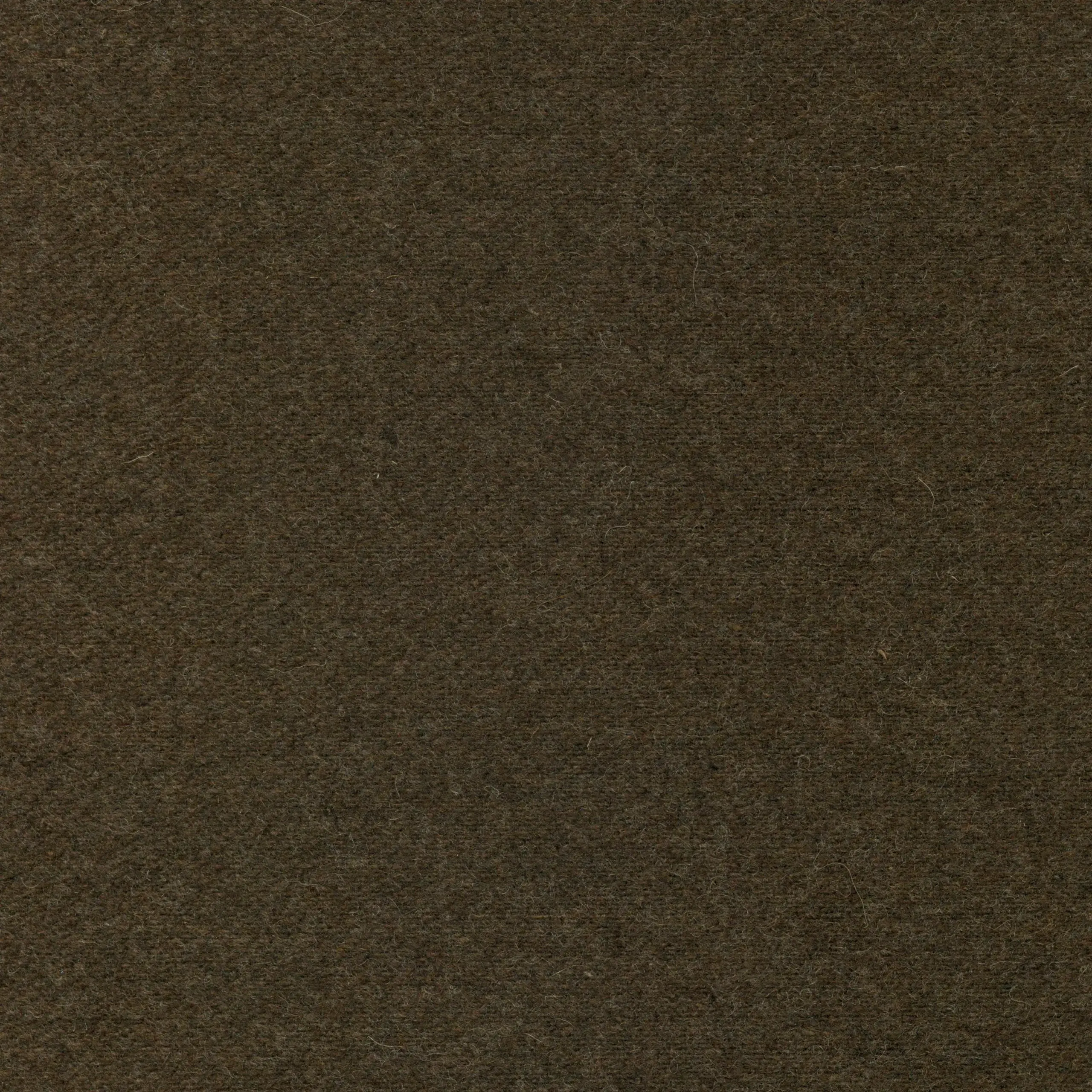 Chestnut 25 | Wool