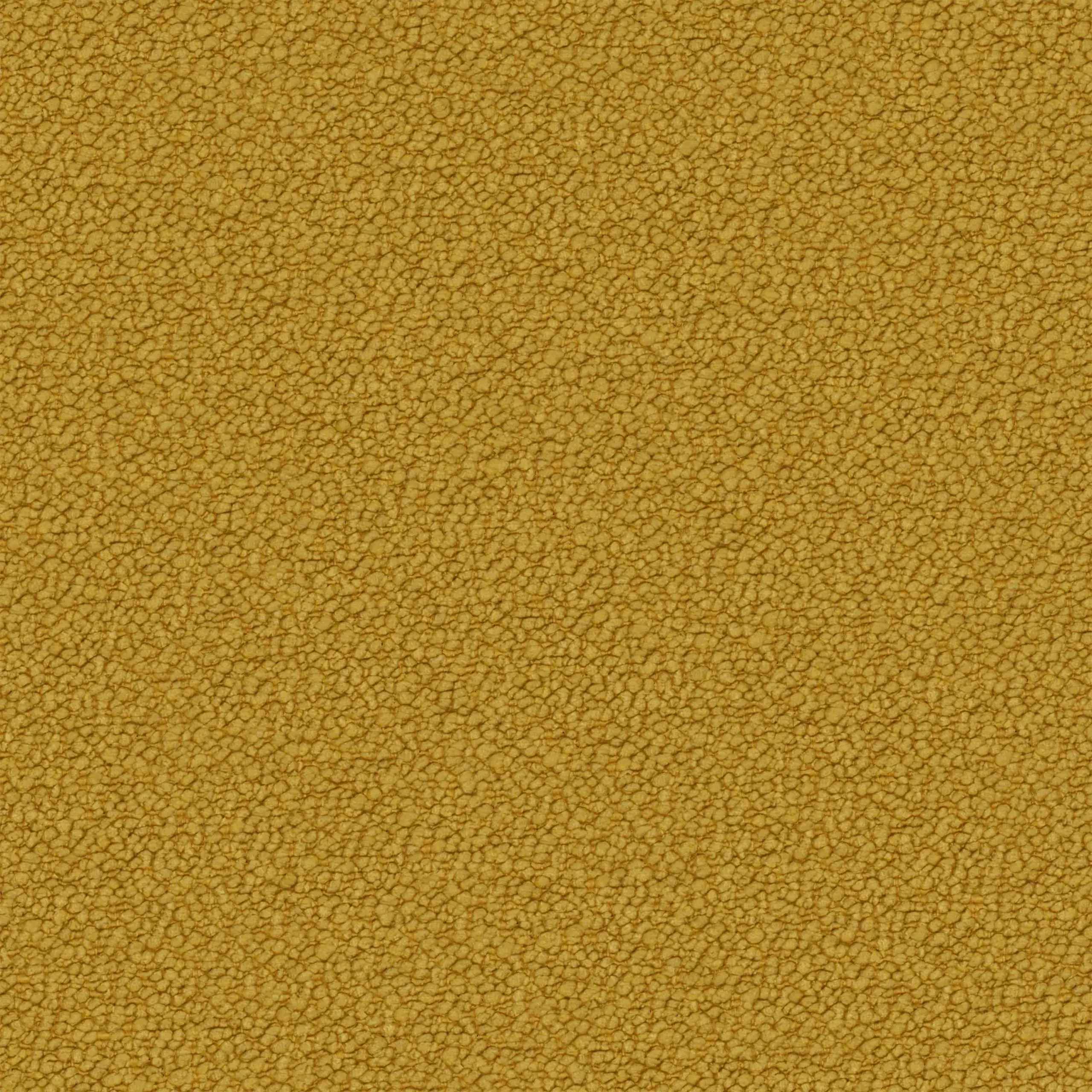 Bright Gold 31 | Neve