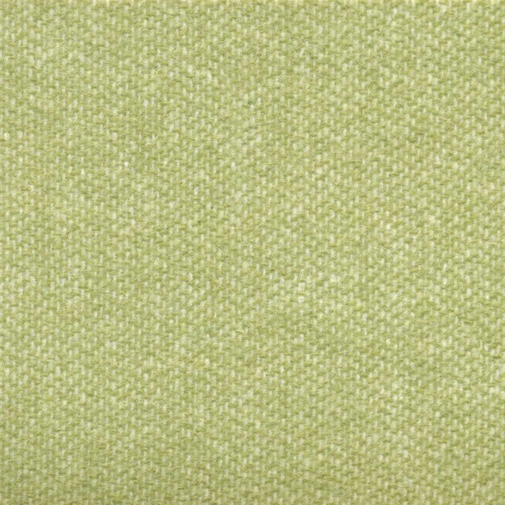 Lime 508 | Savoy FR