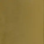 Bronze 10 | Jason