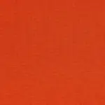 Tangerine 5 | Sunflower
