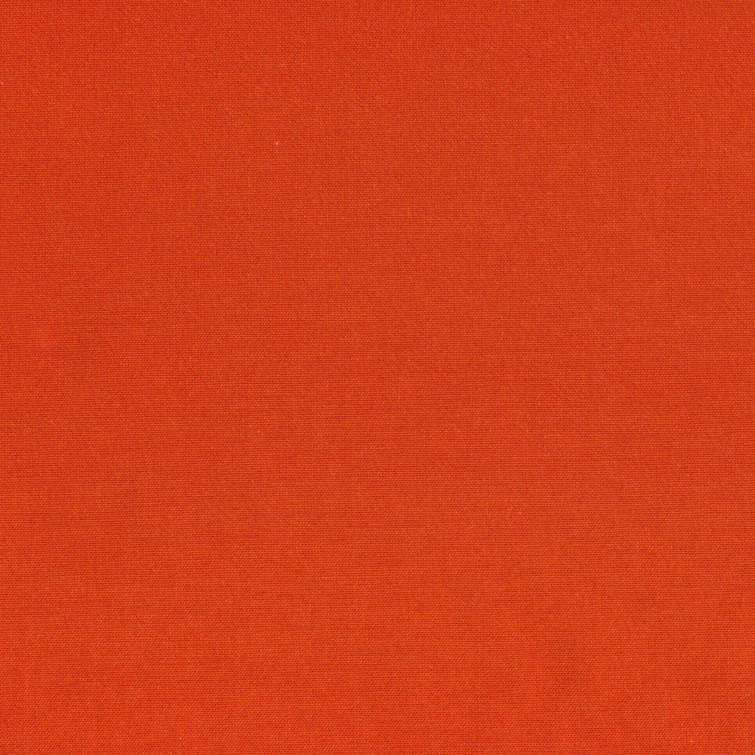 Tangerine 5 | Sunflower
