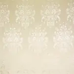 Snow 68 | Samina