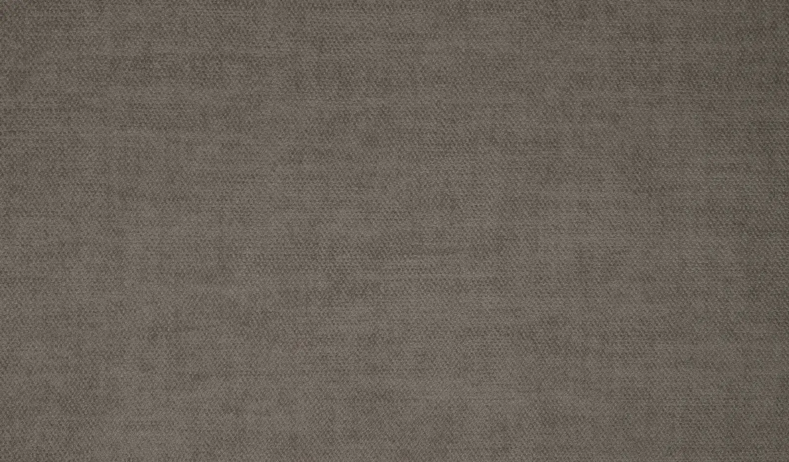 Taupe 04 | Sora