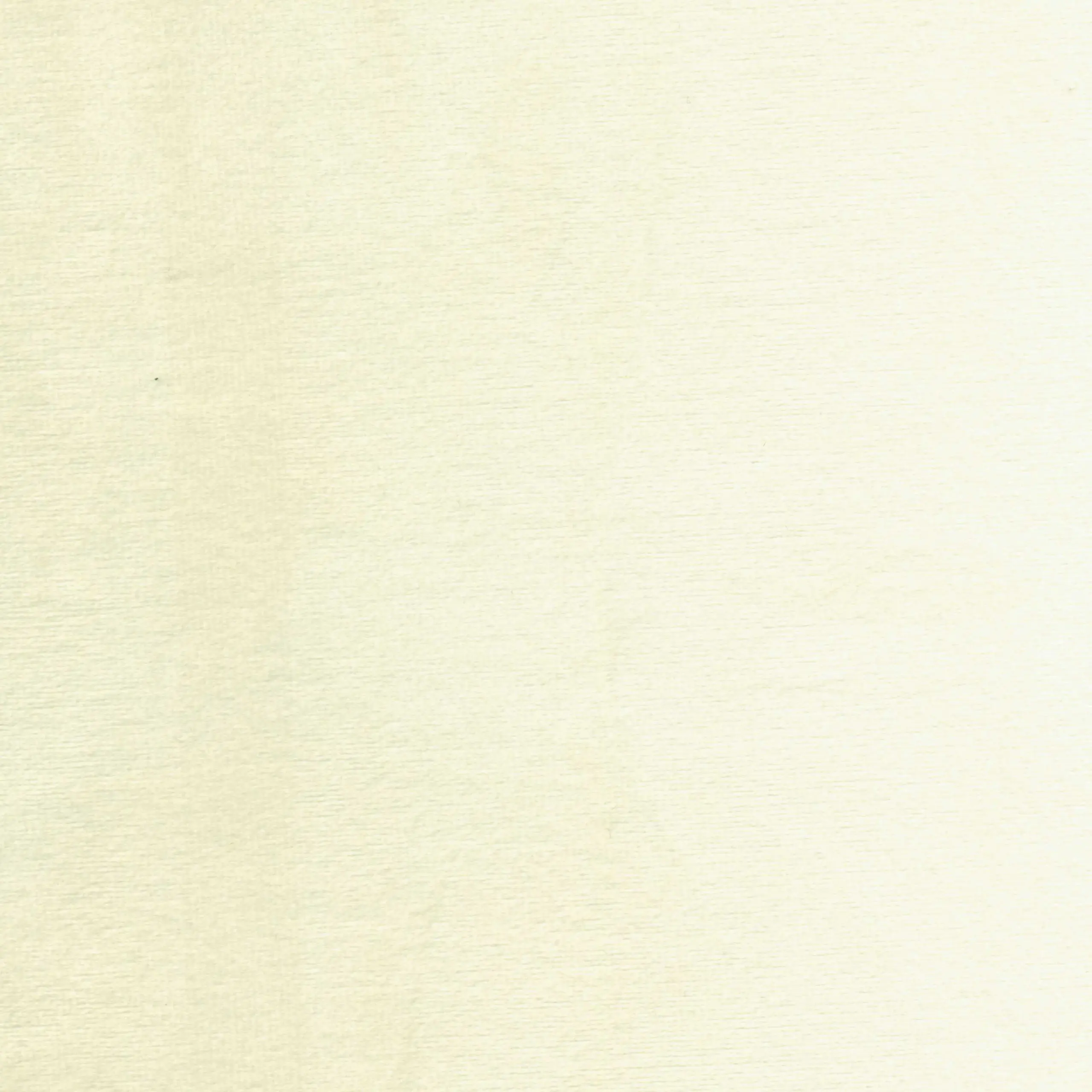 Ivory 01 | Jason