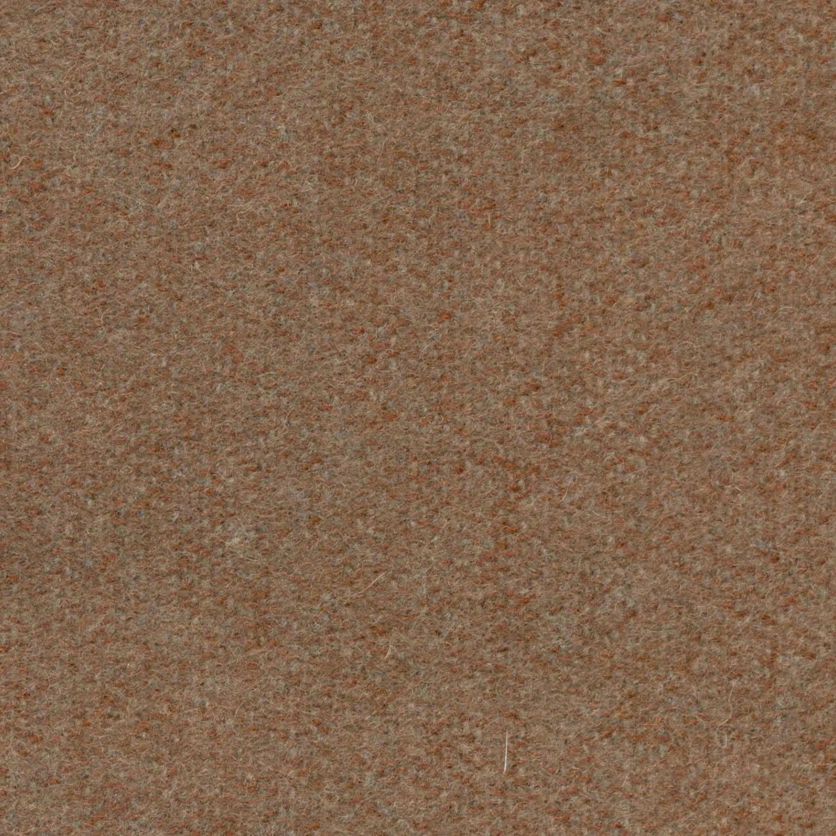 Teak 485 | Savoy FR