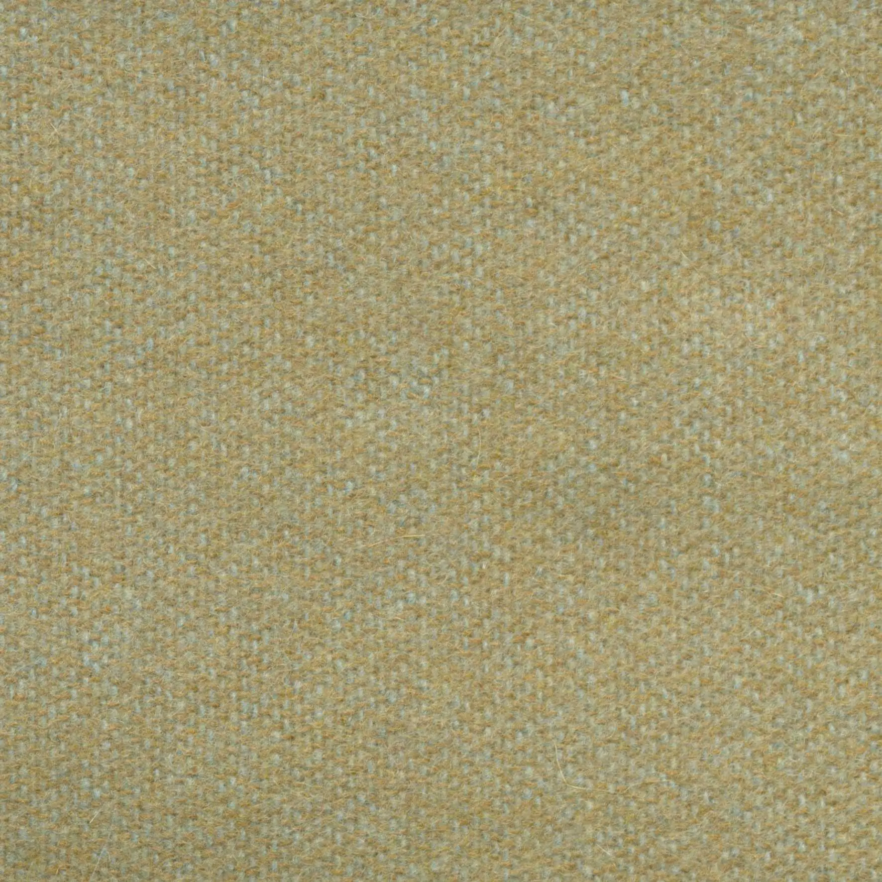 Desert 533 | Savoy FR